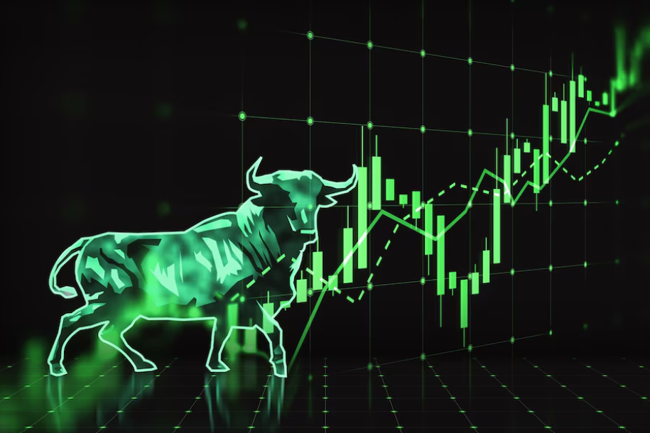 Unlisted Shares, Rits Capital, Investmet Management