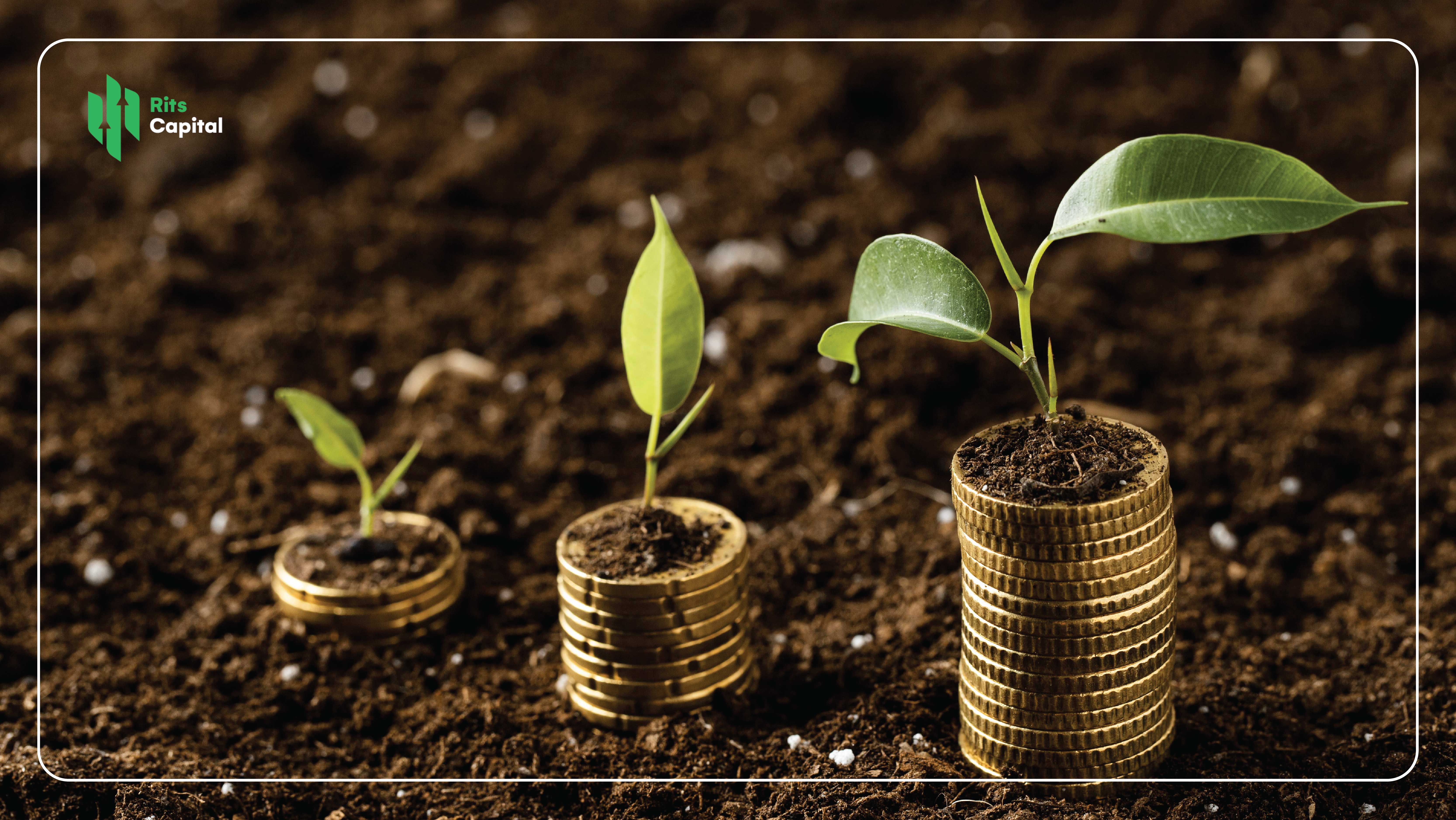 What is Seed Funding? Understand how seed funding works? 